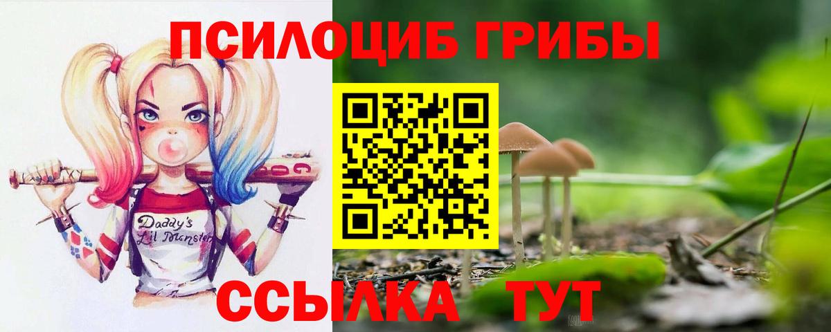 Кингисепп  Галлюциногенные грибы MAGIC MUSHROOMS  Вход с VPN 